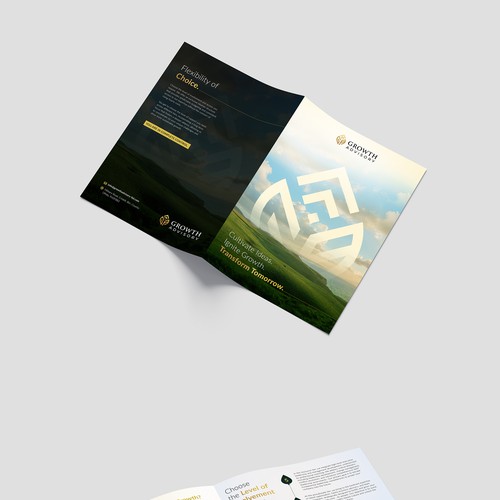 "Design a high-end consulting brochure!" winning T-shirt