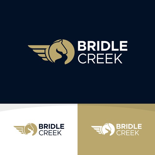 Design a logo for a high end real estate development Design by ontronusart