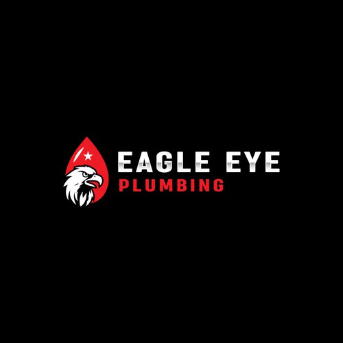 Eye catching and very marketable logo for plumbing company. The company name is Eagle Eye Plumbing Design by JakirVector
