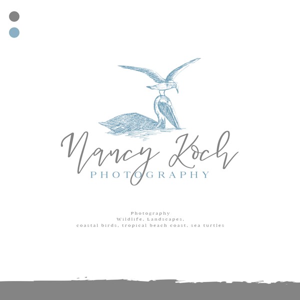 Design a modern logo for a wildlife/nature photographer