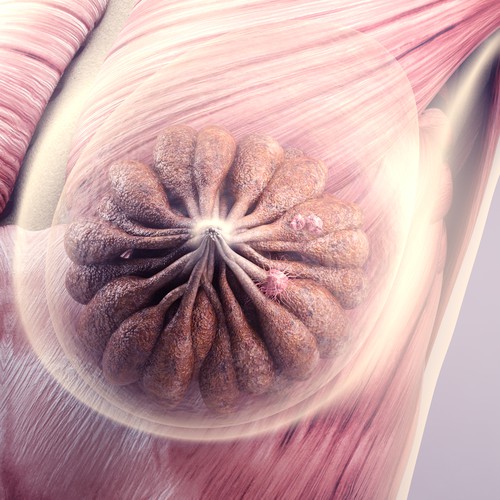 3-D Mammogram Image/Diagram Contest Design by Javad.S