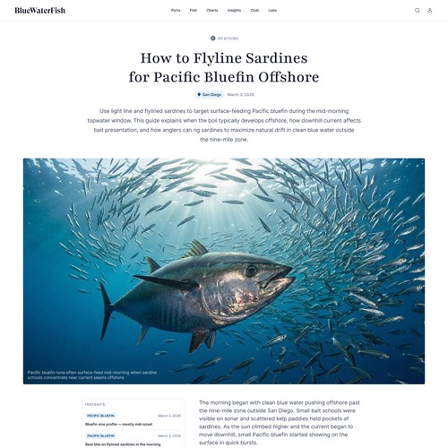  contest entry by Bayu Wiranagara