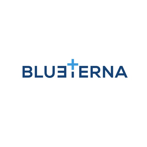 Blueterna Branding contest Design by Imam H.