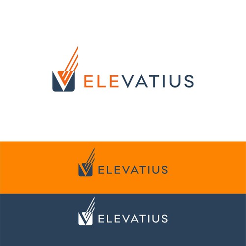 Design a top lead generating logo for a Fractional CFO firm focused on management consultants Design by The Last Hero™