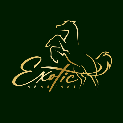 Design my stable logo Diseño de vlad63