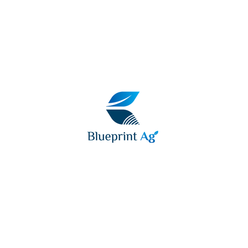 Blueprint Ag Design-ontwerp door E&S Designs