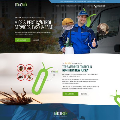Designs | Professional Economic and Safe Pest Control (Landing page ...
