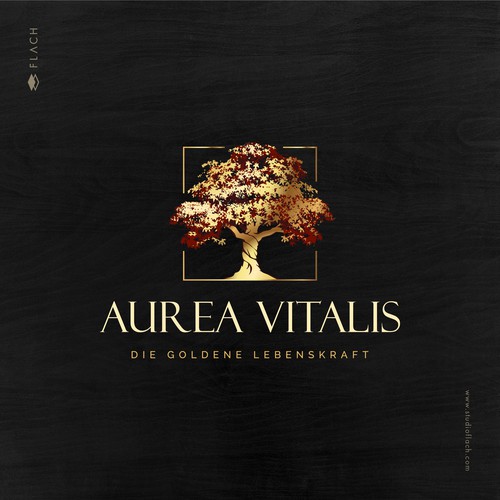 Logo & hosted website contest entry by Studio FLACH