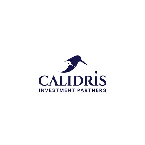 New Private Investment Firm Design by LOGStudio