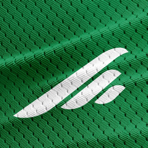 Falcon Sports Apparel logo Diseño de Pixio