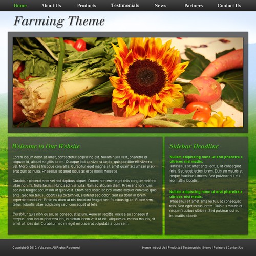 1-3 Page Website Template Design von xara