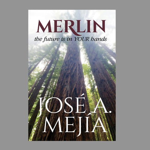 Book Cover Design for a  Personal Development Book Design by TRIWIDYATMAKA