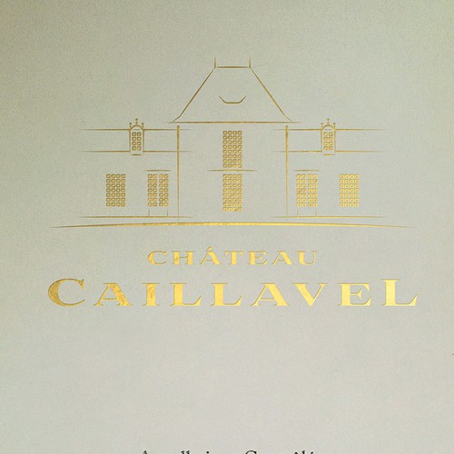 Logo design contest entry by bluedots studio