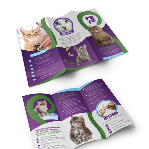 Help cats! by creating a brochure for a common CAT disease Brochure contest