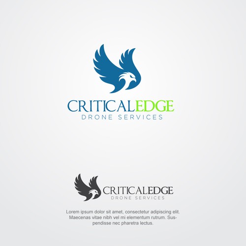 We need a logo design for new Drone inspection and survey company Design by hasnagraphics