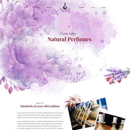 Web page design contest entry by andrei2709