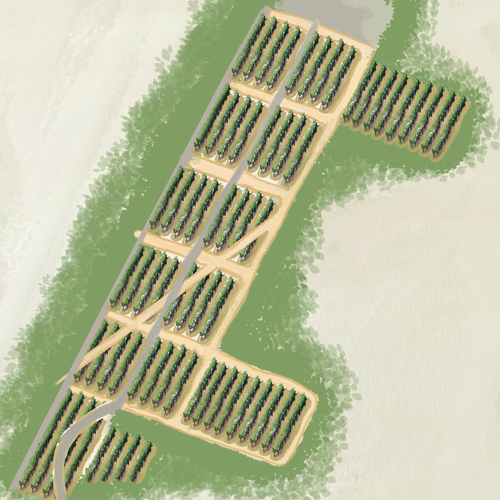 Artist interpretation of a Vineyard map Design by Andres M.