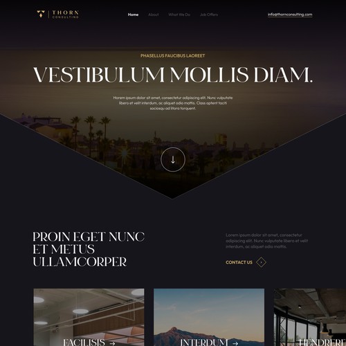 Design for consultant company in Marbella Design by sokolskiyDesign