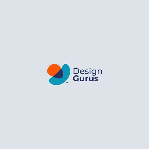 DesignGurus.com  --  NEW AGENCY Design by VisibleGravity™