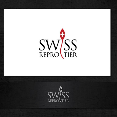 Logotipos propuesta en el concurso por sgmediaservice