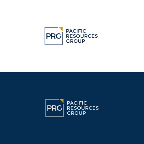 PRG Logo and Brand Guide Design by GraphicAjwa