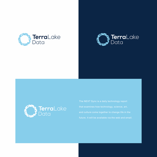 Design a refined, professional logo for a trusted data provider Design by IvanZfan