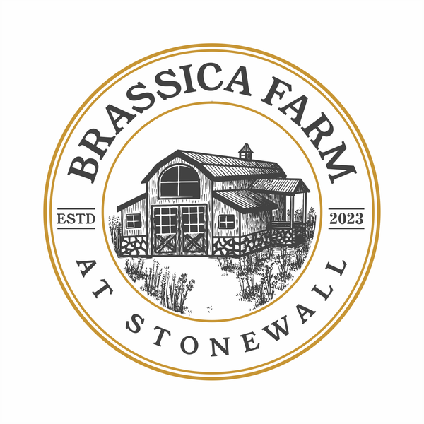 Design by Otame titled "Modern Farm Style Open Air Market"