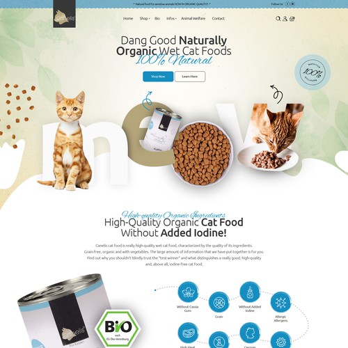 Web page design contest entry by OMGuys™