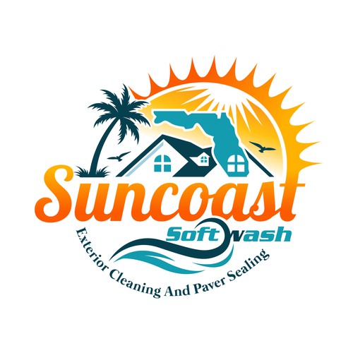 A logo for a softwash company that is appealing and inviting Diseño de Operation Design