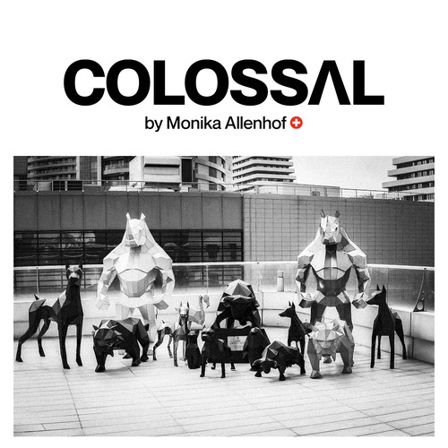 Logo design contest entry by Bruno Nascimento