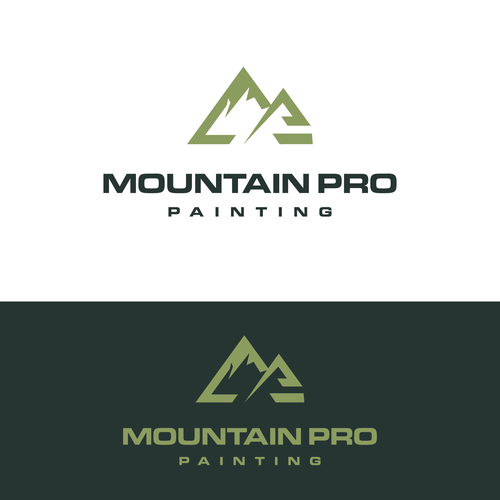 High-end, tech-focused Colorado painting company brand package Design by MD Design99