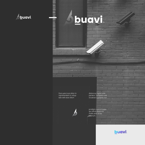 Buavi, the new security company is looking for branding Design por !s