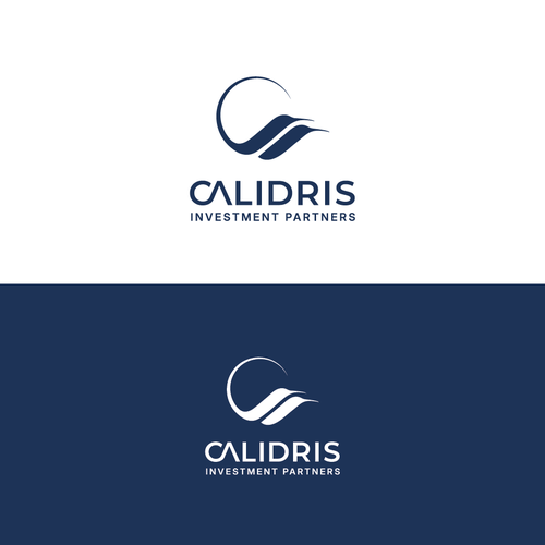 New Private Investment Firm Design by LOGStudio