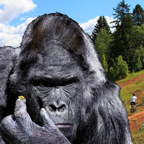 Banner ad contest entry by I am a sinner