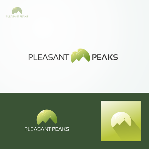 Potential million dollar company in 3 months rivaling the motley fool. Design by Blue Mantis