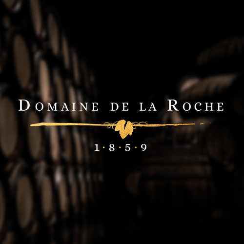  contest entry by Lizzy DS