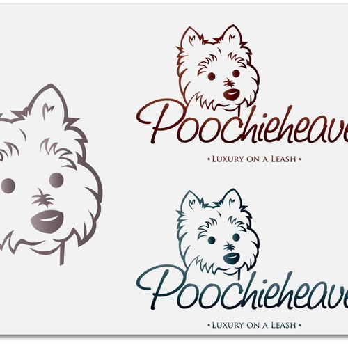 Dog clearance boutique online