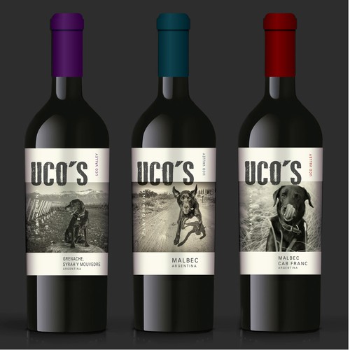 Create a modern wine label for Uco's Playground (Mendoza, Argentina) Design by The Kings Jewels