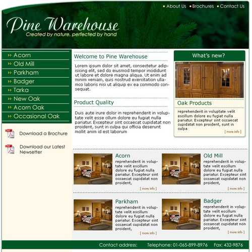 Design of website front page for a furniture website. Design by plugzzzz