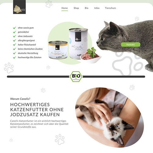 Web page design contest entry by alexerne