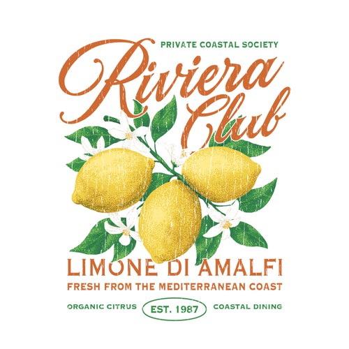 "Nostalgic Euro summer/coastal leisure/luxury lifestyle design needed for T-shirt" winning Book cover