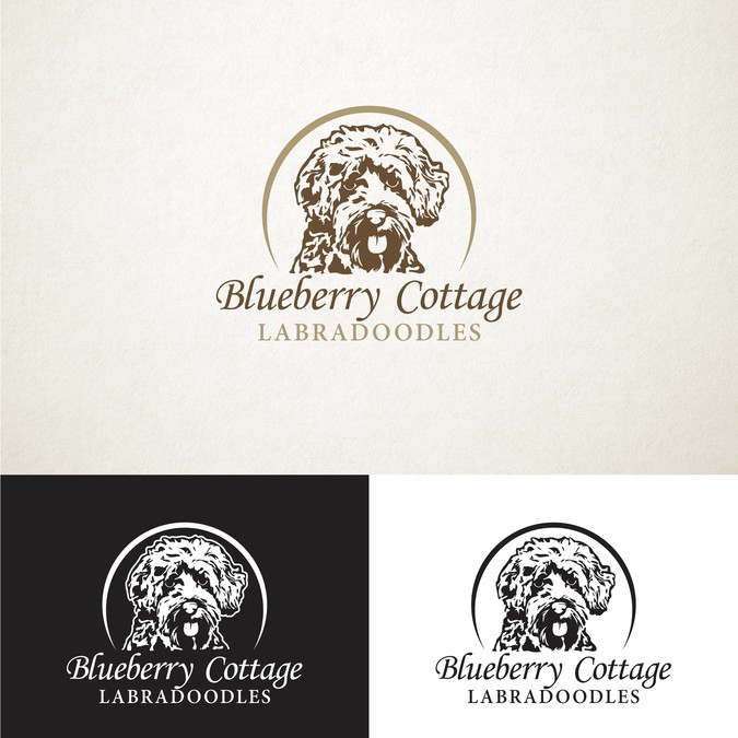 Blueberry Cottage Labradoodles Logo Logo Design Contest