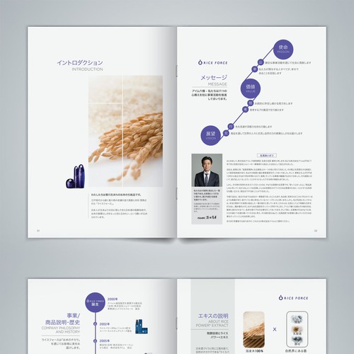 Brochure contest entry by louisse