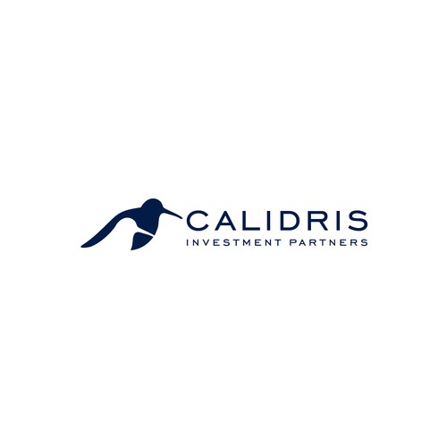 New Private Investment Firm Design by bo_rad
