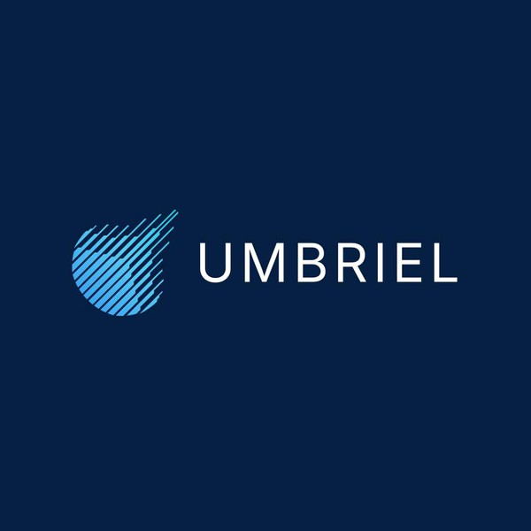 Logo for a AI Cyber Security Company