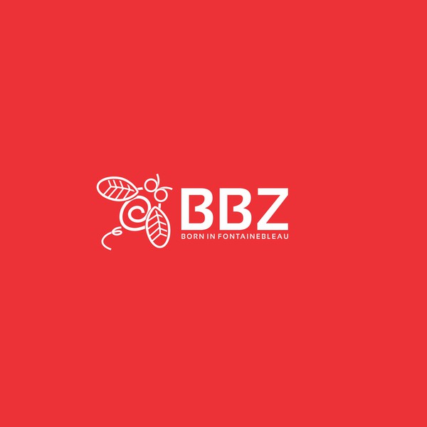 BBZ, the company dedicated to bouldering