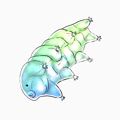 Draw beautiful, natural tardigrades Design by clayStick