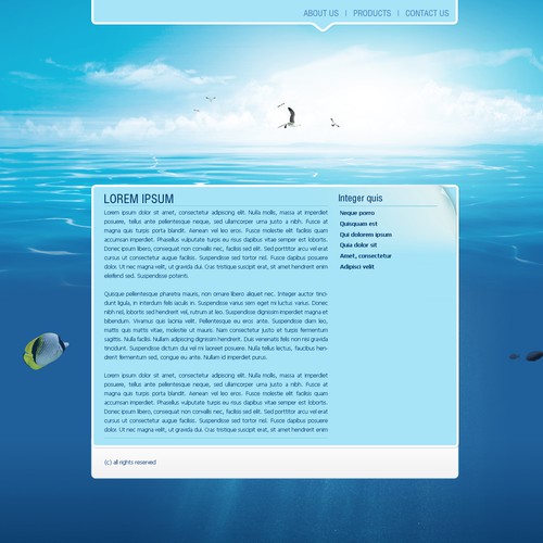 One page Website Templates Design by Captain Morgan