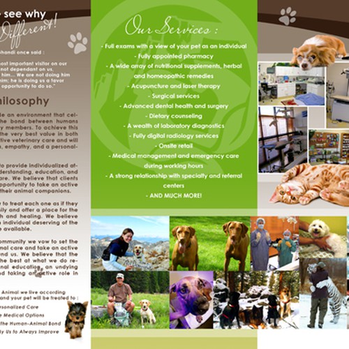 Help us re-brand Boulder's Natural Animal Hospital with a NEW BROCHURE!! デザイン by Flamerro