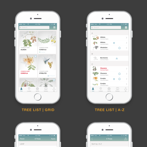 Tree App Design Design by joyjz